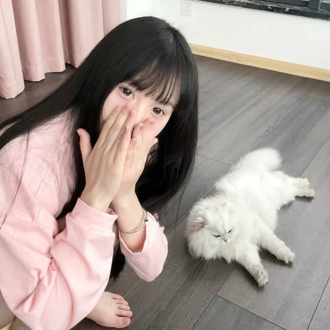 石纪元第四季