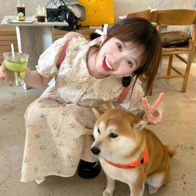 广东小老虎